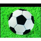 Focilabda tortaforma