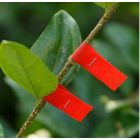 Kötözőgép szalag