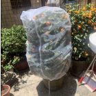 Kerti növénytakaró védőháló rovarok ellen - 100 x 150 cm