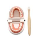 Fogmosás oktató segédeszköz gyermekek számára