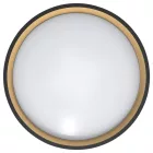 Modee Mennyezeti LED Lámpa CLGBK 30W 3CCT+RGB D390mm +rem (2000 lumen) ERP