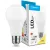 Modee Lighting LED Izzó Globe A65 18,5W E27 200° 2700K (1900 lumen) ERP