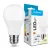 Modee Lighting LED Izzó Globe A60 8,5W E27 200° 4000K (806 lumen) ERP