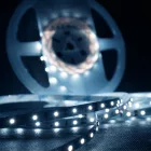 Modee LED Szalag DC12V 4,8W/m 60LED/m 8mm IP20 6000K (540 lumen/m) B5