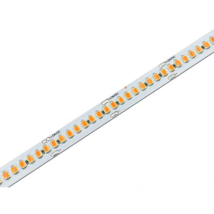 Modee LED Szalag DC24V 19,2W/m 240LED/m 10mm IP20 2700K CRI90 (2300 lumen/m) B5