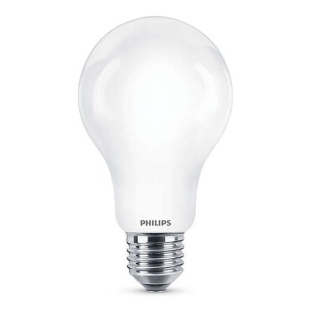 E27 A67 LED izzó 13W = 120W 2000lm 6500K Cold PHILIPS