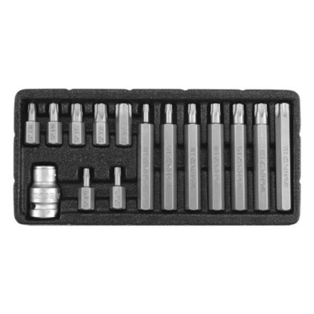 Bitkészlet biztonsági TORX 15 részes